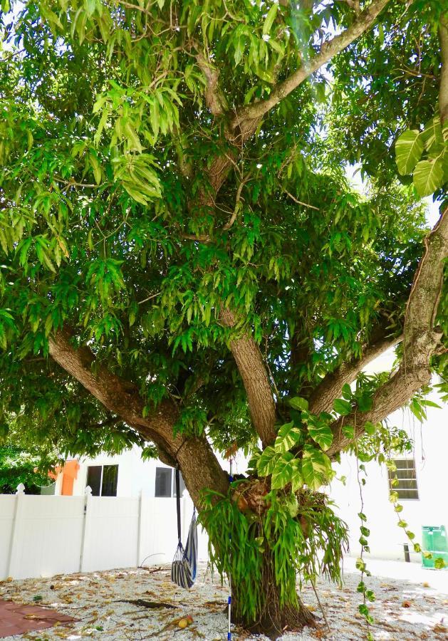Enchanting Cozy Apartment 10 Min Away From Airport, Calle 8, Brickell, Coral Gables, The Beach And More! 마이애미 외부 사진